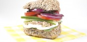Gestational Diabetes Salad Nicoise Sandwich